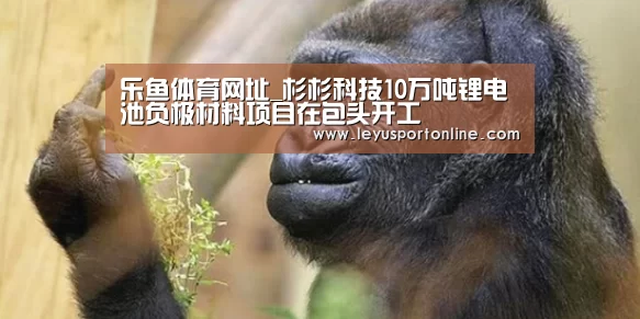 乐鱼体育网址