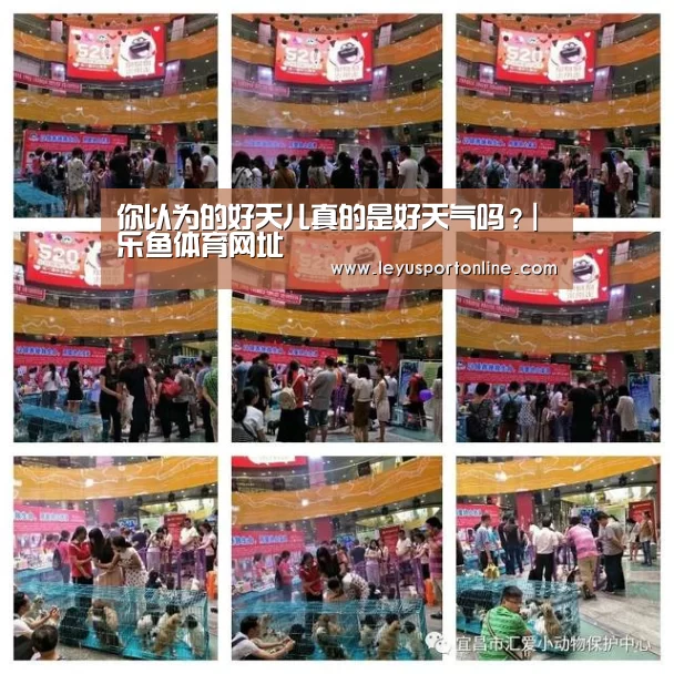 乐鱼体育网址