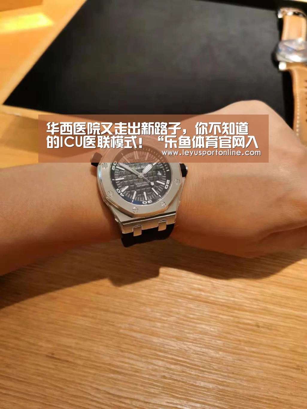 乐鱼体育官网入口