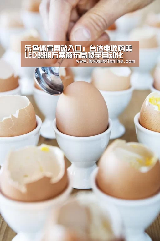 乐鱼体育网站入口:台达电收购美LED照明方案商布局楼宇自动化(图1) 乐鱼体育官方网站