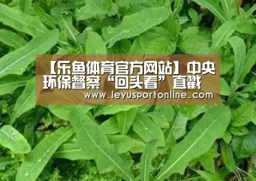 【乐鱼体育官方网站】中央环保督察“回头看”直戳地方政府痛点,或牵出一批责任人(图1) 乐鱼体育网站入口
