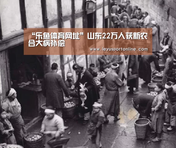 乐鱼体育网站入口