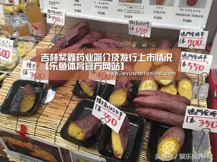 吉林紫鑫药业简介及发行上市情况【乐鱼体育官方网站】(图3) 乐鱼体育网址