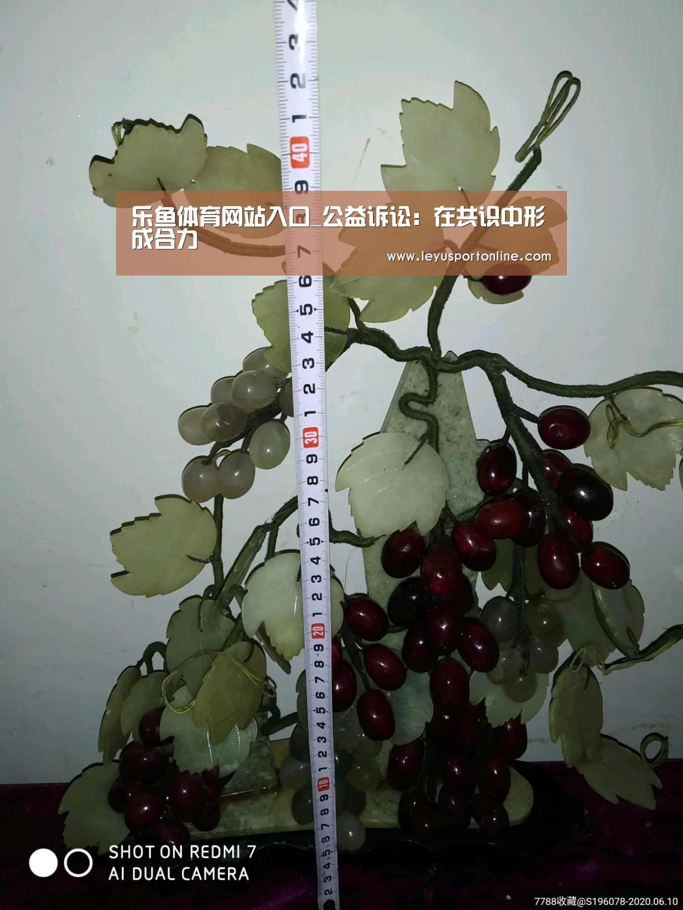 乐鱼体育网站入口